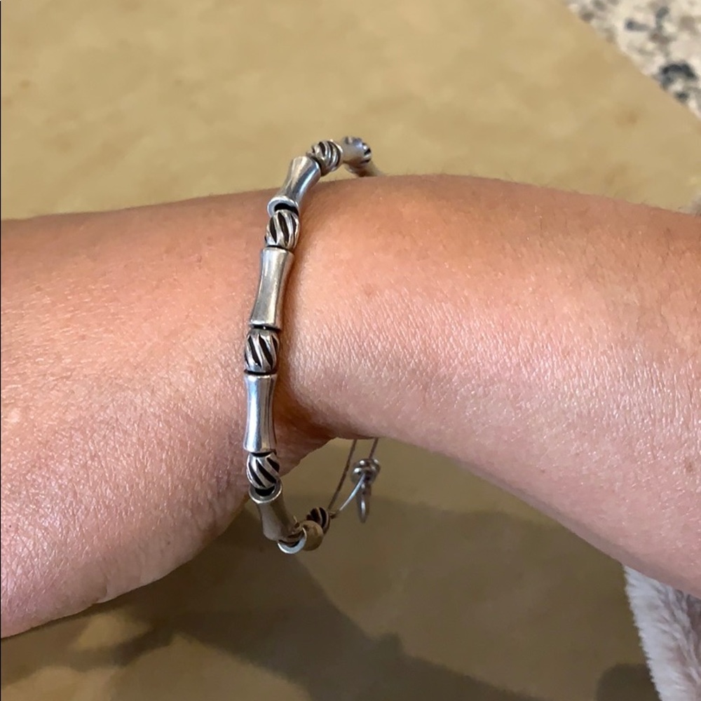 Alex and Ani Silver Bamboo Bracelet